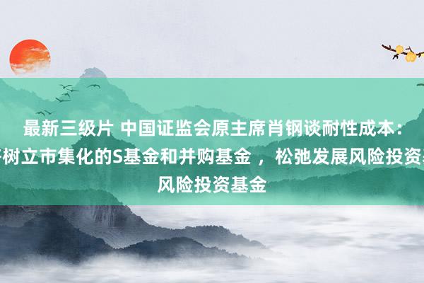 最新三级片 中国证监会原主席肖钢谈耐性成本：接济树立市集化的S基金和并购基金 ，松弛发展风险投资基金