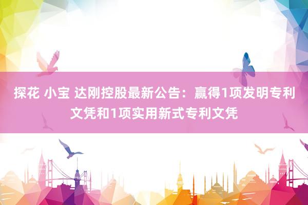探花 小宝 达刚控股最新公告：赢得1项发明专利文凭和1项实用新式专利文凭