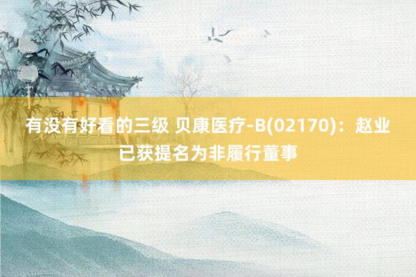 有没有好看的三级 贝康医疗-B(02170)：赵业已获提名为非履行董事