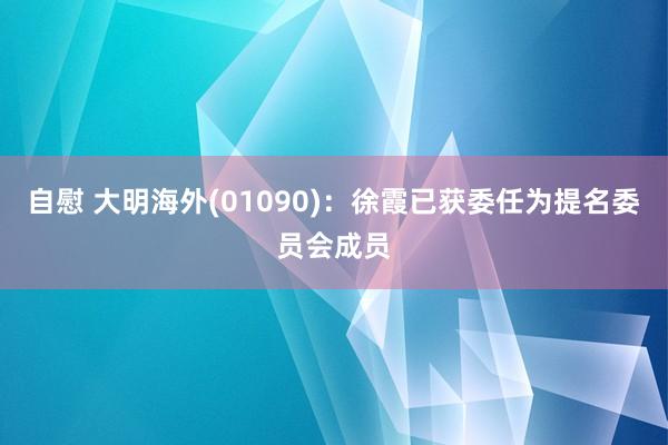 自慰 大明海外(01090)：徐霞已获委任为提名委员会成员