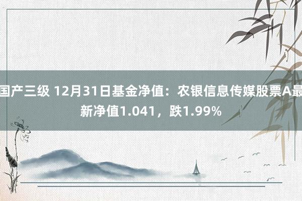 国产三级 12月31日基金净值：农银信息传媒股票A最新净值1.041，跌1.99%