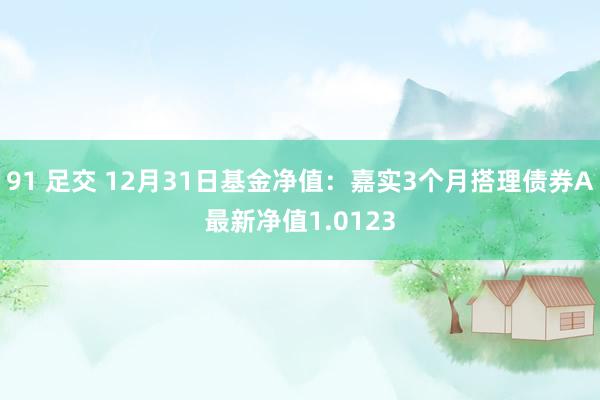 91 足交 12月31日基金净值：嘉实3个月搭理债券A最新净值1.0123