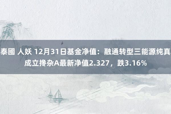 泰國 人妖 12月31日基金净值：融通转型三能源纯真成立搀杂A最新净值2.327，跌3.16%