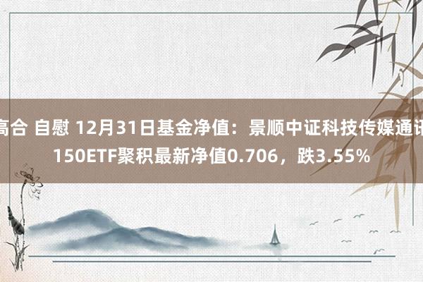 高合 自慰 12月31日基金净值：景顺中证科技传媒通讯150ETF聚积最新净值0.706，跌3.55%