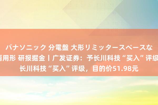 パナソニック 分電盤 大形リミッタースペースなし 露出・半埋込両用形 研报掘金丨广发证券：予长川科技“买入”评级，目的价51.98元