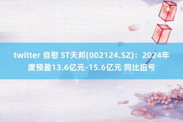 twitter 自慰 ST天邦(002124.SZ)：2024年度预盈13.6亿元-15.6亿元 同比扭亏