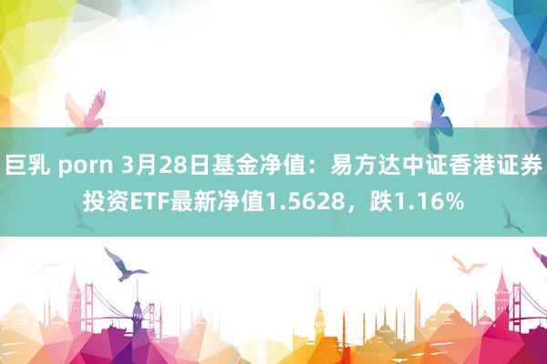 巨乳 porn 3月28日基金净值：易方达中证香港证券投资ETF最新净值1.5628，跌1.16%