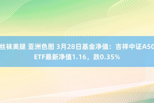 丝袜美腿 亚洲色图 3月28日基金净值：吉祥中证A50ETF最新净值1.16，跌0.35%