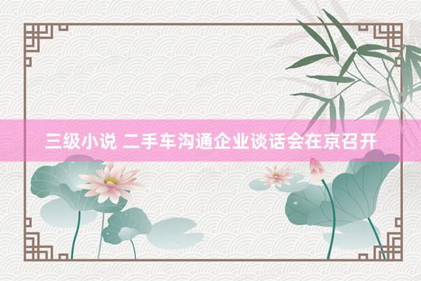 三级小说 二手车沟通企业谈话会在京召开
