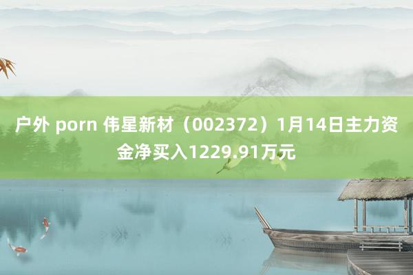 户外 porn 伟星新材（002372）1月14日主力资金净买入1229.91万元