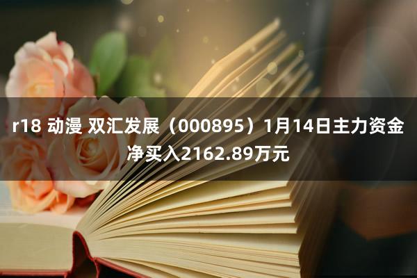 r18 动漫 双汇发展（000895）1月14日主力资金净买入2162.89万元