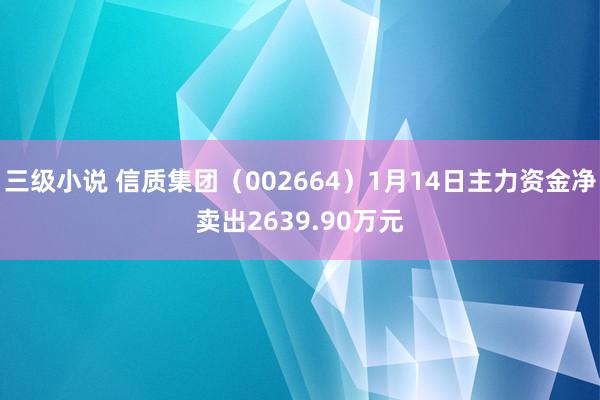 三级小说 信质集团（002664）1月14日主力资金净卖出2639.90万元