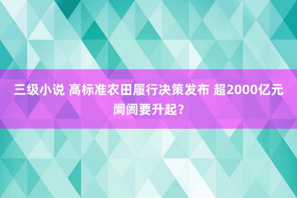 三级小说 高标准农田履行决策发布 超2000亿元阛阓要升起？