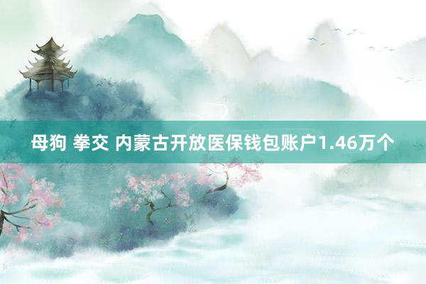 母狗 拳交 内蒙古开放医保钱包账户1.46万个