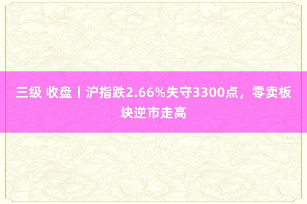 三级 收盘丨沪指跌2.66%失守3300点，零卖板块逆市走高