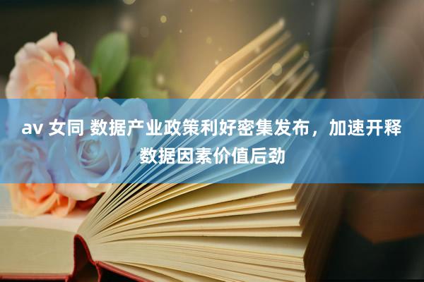 av 女同 数据产业政策利好密集发布，加速开释数据因素价值后劲