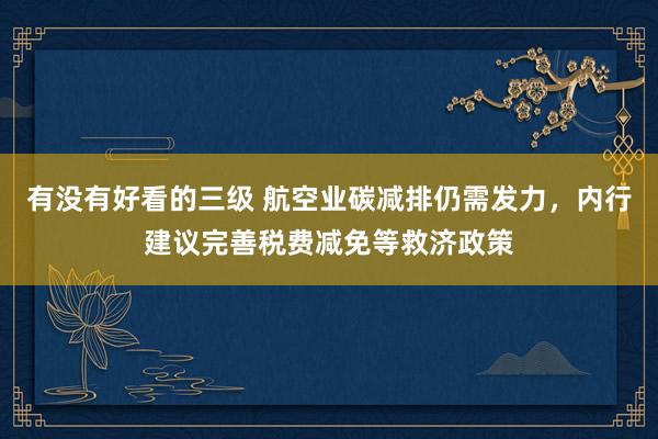 有没有好看的三级 航空业碳减排仍需发力，内行建议完善税费减免等救济政策