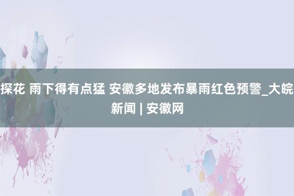 探花 雨下得有点猛 安徽多地发布暴雨红色预警_大皖新闻 | 安徽网