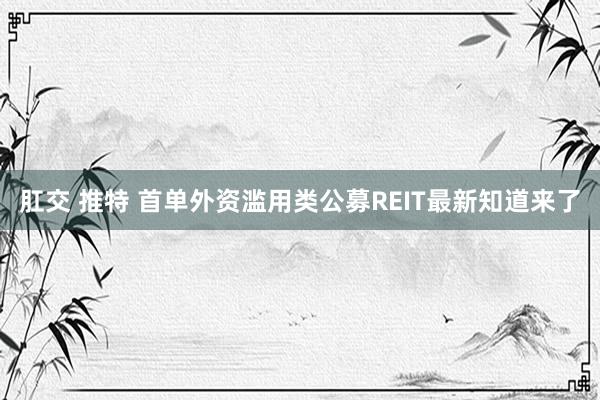 肛交 推特 首单外资滥用类公募REIT最新知道来了