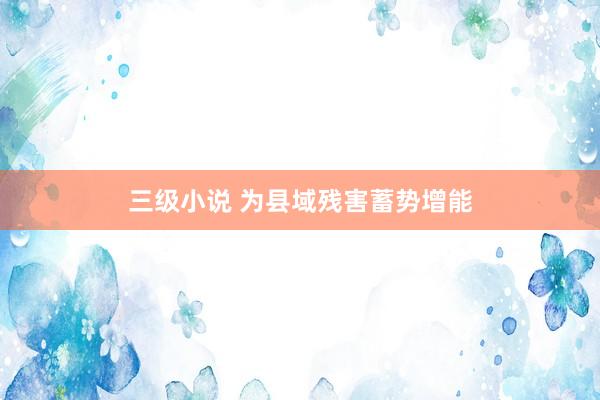 三级小说 为县域残害蓄势增能