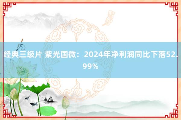 经典三级片 紫光国微：2024年净利润同比下落52.99%