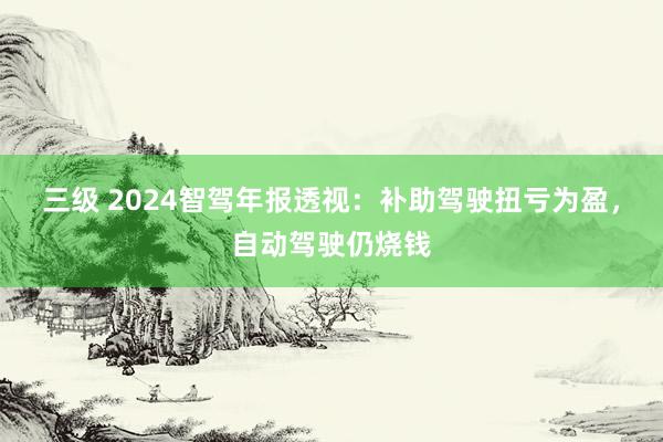 三级 2024智驾年报透视：补助驾驶扭亏为盈，自动驾驶仍烧钱