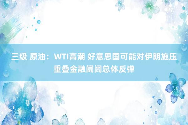 三级 原油：WTI高潮 好意思国可能对伊朗施压重叠金融阛阓总体反弹