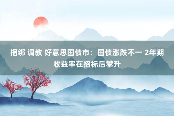 捆绑 调教 好意思国债市：国债涨跌不一 2年期收益率在招标后攀升