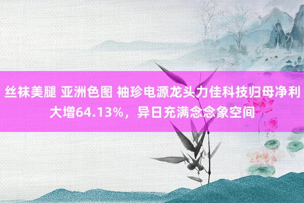 丝袜美腿 亚洲色图 袖珍电源龙头力佳科技归母净利大增64.13%，异日充满念念象空间