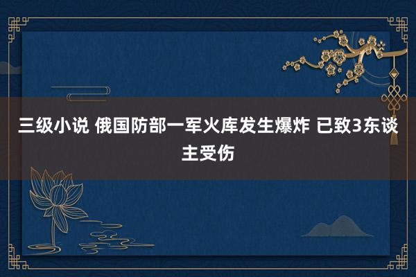 三级小说 俄国防部一军火库发生爆炸 已致3东谈主受伤