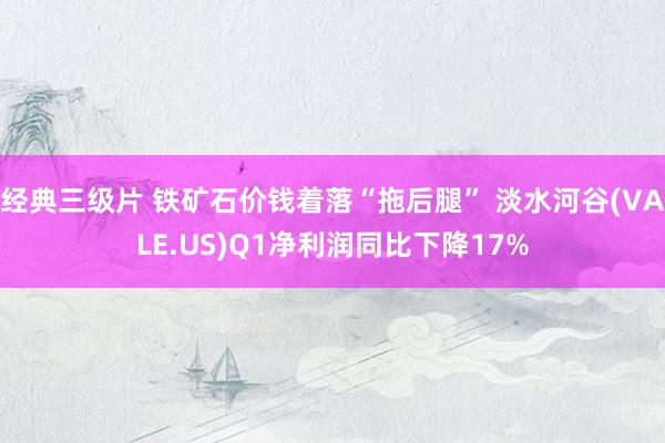 经典三级片 铁矿石价钱着落“拖后腿” 淡水河谷(VALE.US)Q1净利润同比下降17%
