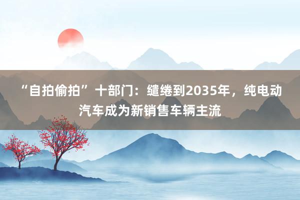 “自拍偷拍” 十部门：缱绻到2035年，纯电动汽车成为新销售车辆主流
